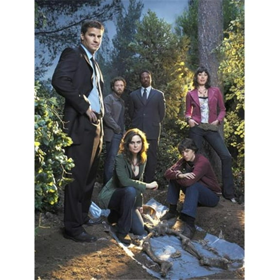 Posterazzi MOV417694 Bones TV Movie Poster - 11 x 17 in.