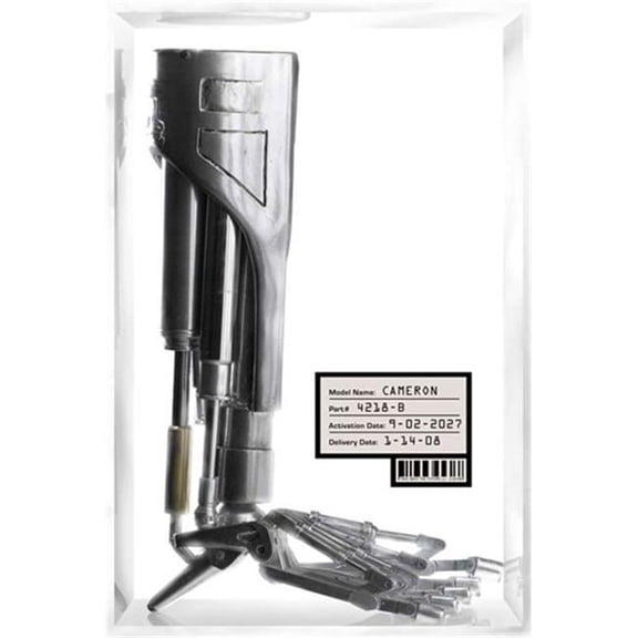 Posterazzi MOV420473 Terminator the Sarah Connor Chronicles - Style Ae Movie Poster - 11 x 17 in.