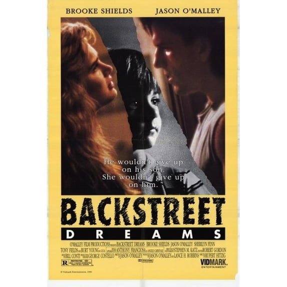 Posterazzi MOVAH6343 Backstreet Dreams Movie Poster - 27 x 40 in.