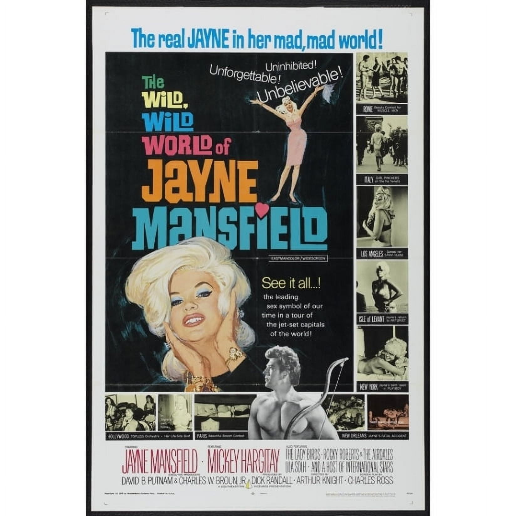 Posterazzi MOVAI1351 The Wild Wild World of Jane Mansfield Movie Poster -  27 x 40 in., image size:1648x1648