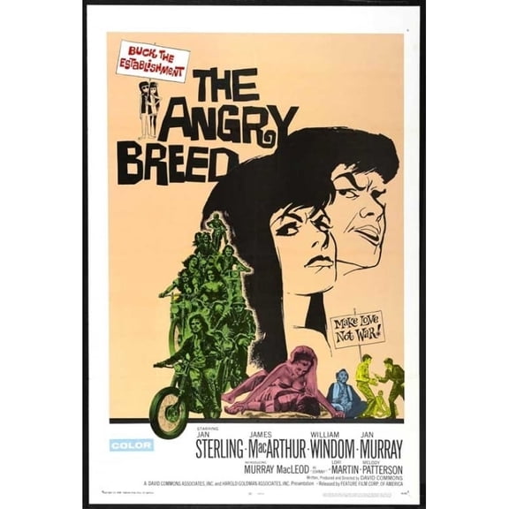 Posterazzi MOVCB17201 The Angry Breed Movie Poster - 27 x 40 in.
