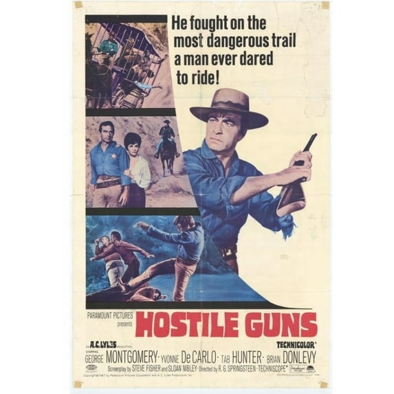 Posterazzi MOVCH2277 Hostile Guns Movie Poster - 27 x 40 in.
