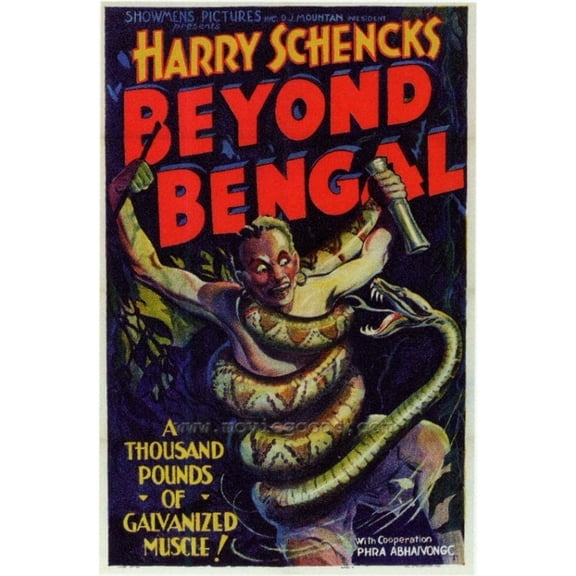 Posterazzi MOVEF6296 Beyond Bengal Movie Poster - 27 x 40 in.