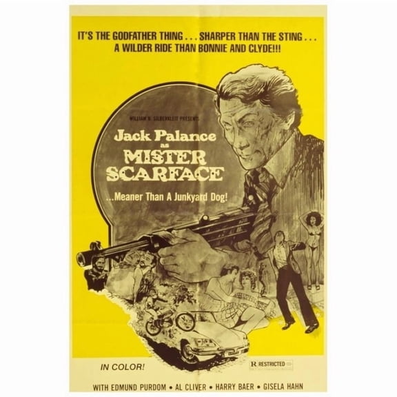 Mister Scarface Movie Poster Print (27 x 40)