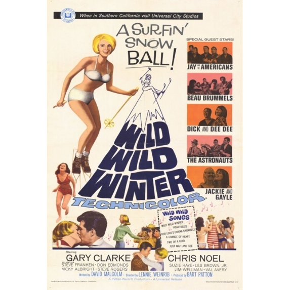 Posterazzi MOVGF5890 Wild Wild Winter Movie Poster - 27 x 40 in.