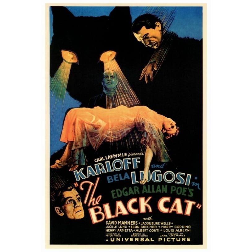 Posterazzi MOVIF9160 The Black Cat Movie Poster - 27 x 40 in. - Walmart.com