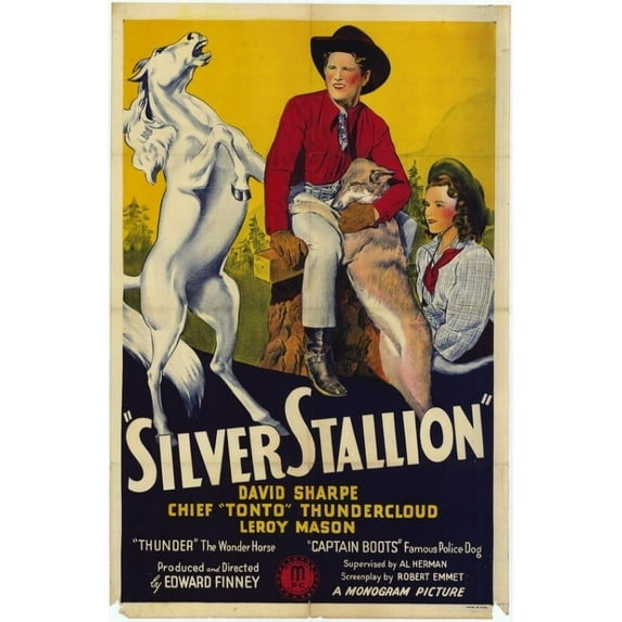 Posterazzi MOVIH1640 Silver Stallion Movie Poster - 27 x 40 in.