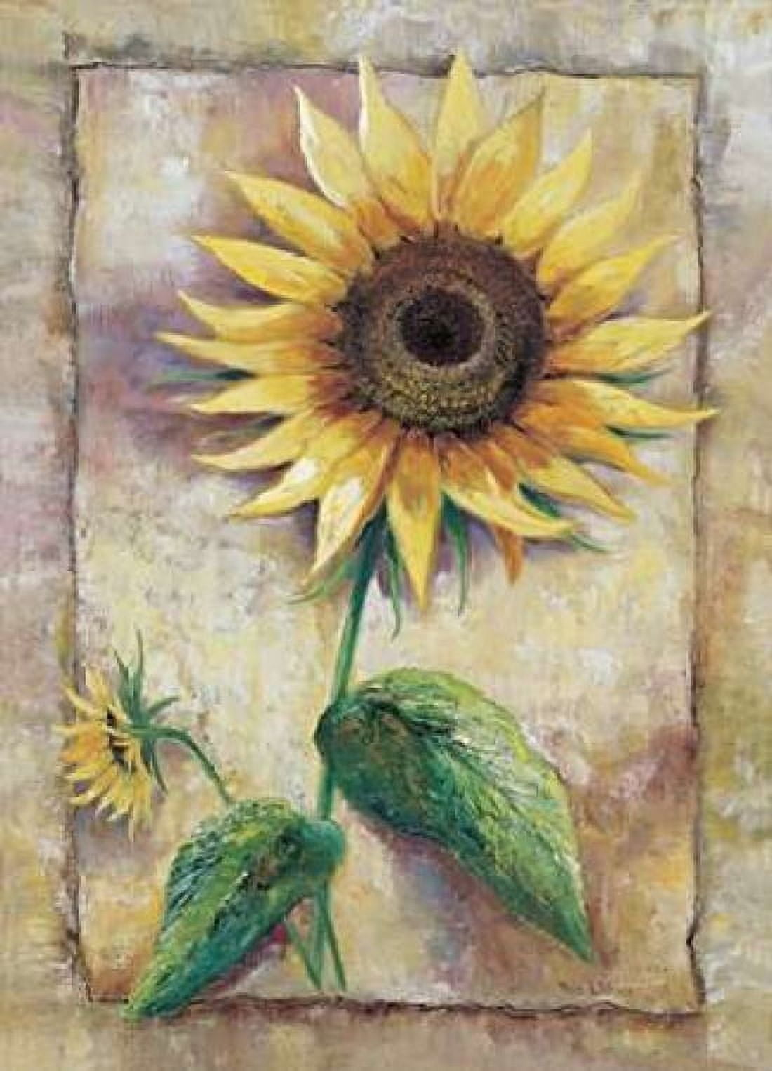 Posterazzi Magnificent sunflower Canvas Art - Rian Withaar (20 x 28)