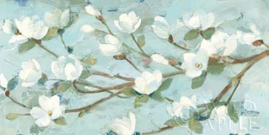 Posterazzi Magnolia Branch Canvas Art - Albena Hristova (24 x 36)