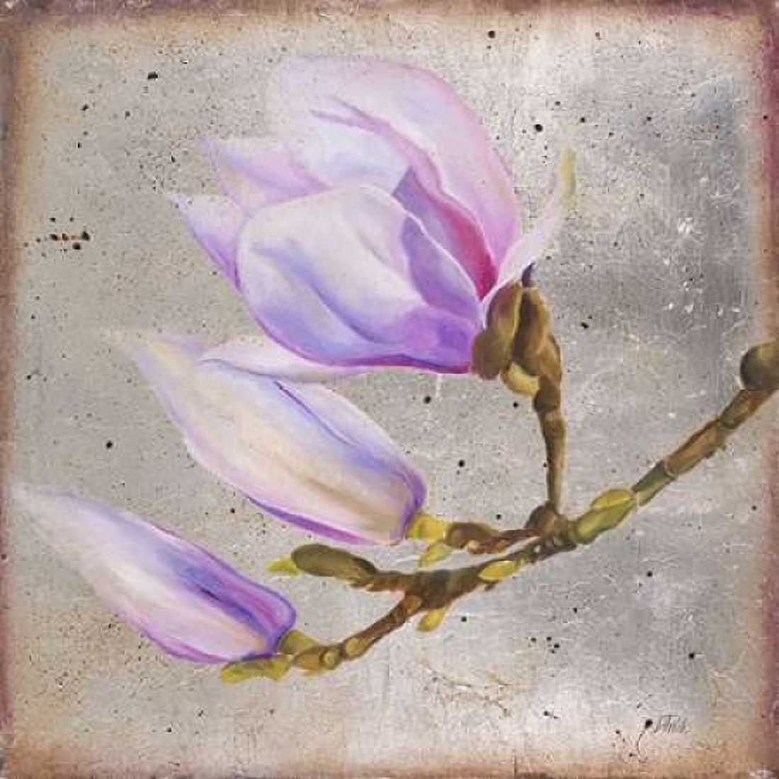 Posterazzi Magnolia on Silver Leaf I Canvas Art - Patricia Pinto (24 x 24)