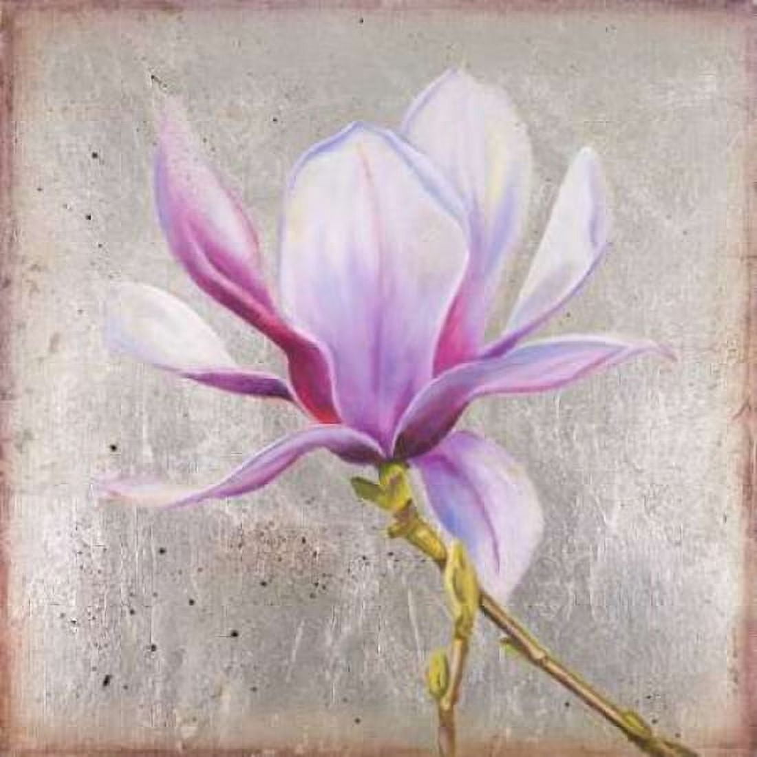 Posterazzi Magnolia on Silver Leaf II Canvas Art - Patricia Pinto (24 x 24)