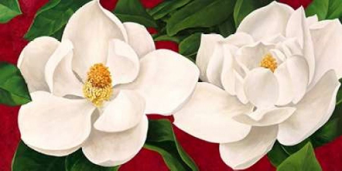 Posterazzi Magnolie in fiore Canvas Art - Luca Villa (24 x 48)