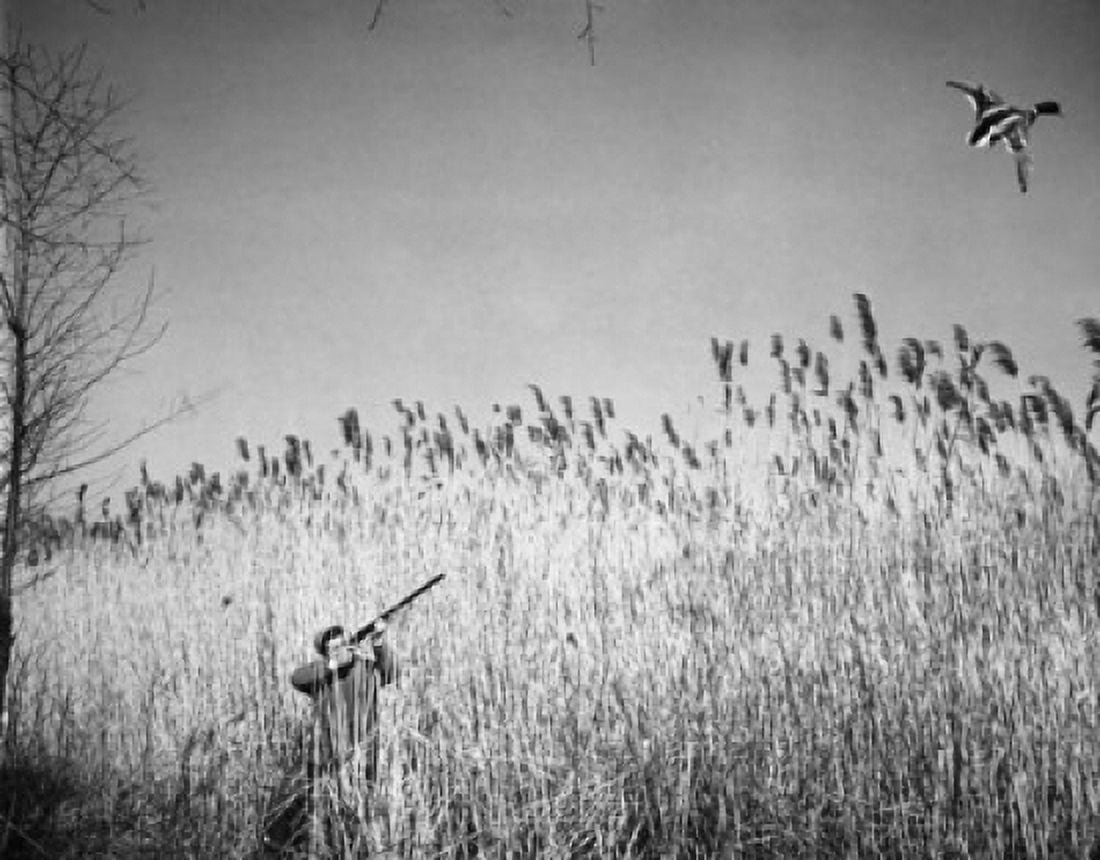 Posterazzi Man hunting a duck with a rifle Canvas Art - (24 x 36)
