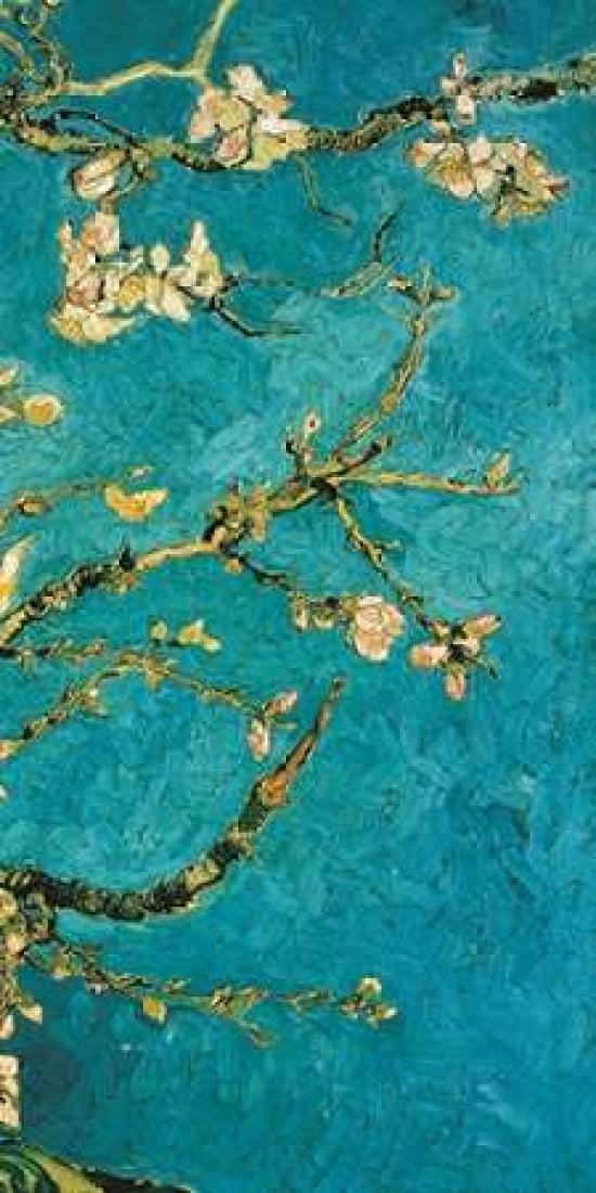 Posterazzi Mandorlo in fiore III Canvas Art - Vincent Van Gogh (24 x 48)