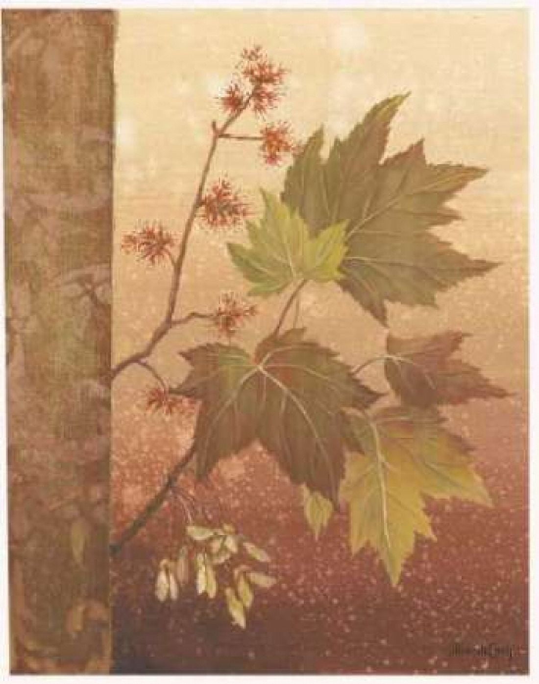 Posterazzi Maple Leaves Canvas Art - Jillian Jeffrey (24 x 30)