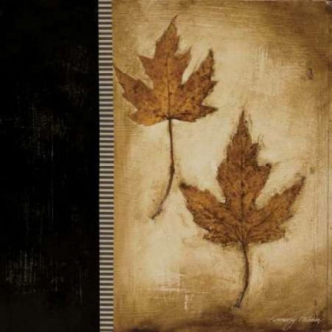 Posterazzi Maple Leaves II Canvas Art - Kimberly Poloson (24 x 24)