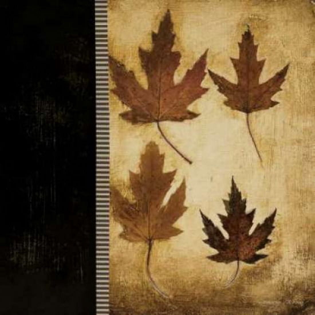Posterazzi Maple Leaves IV Canvas Art - Kimberly Poloson (24 x 24)
