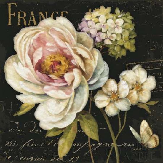 Posterazzi Marche de Fleurs on Black I Canvas Art - Lisa Audit (24 x 24)