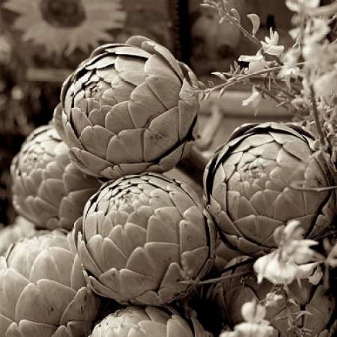 Posterazzi Marketplace - 21 Canvas Art - Alan Blaustein (24 x 24)