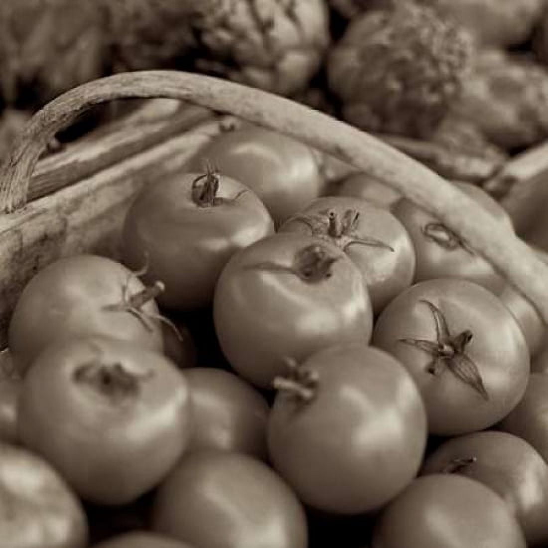 Posterazzi Marketplace - 23 Canvas Art - Alan Blaustein (24 x 24)