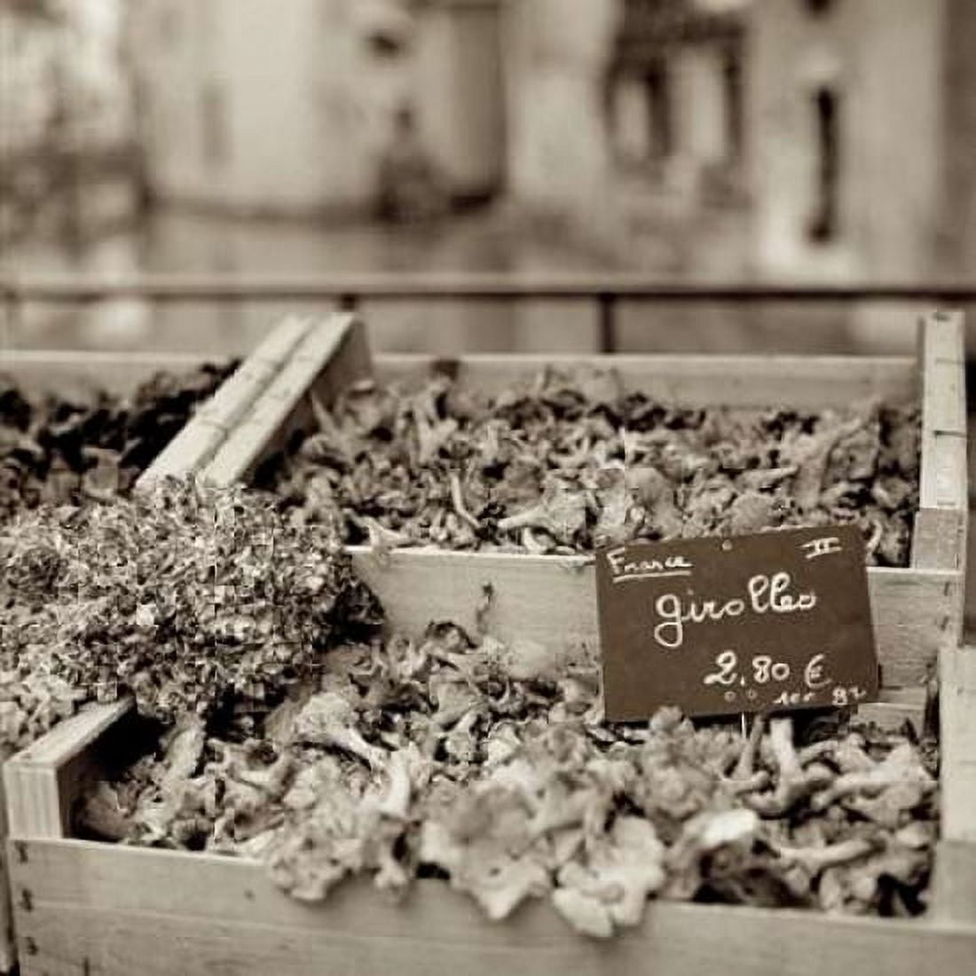 Posterazzi Marketplace - 37 Canvas Art - Alan Blaustein (24 x 24)