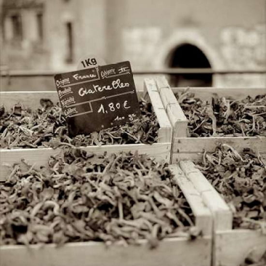 Posterazzi Marketplace - 38 Canvas Art - Alan Blaustein (24 x 24)