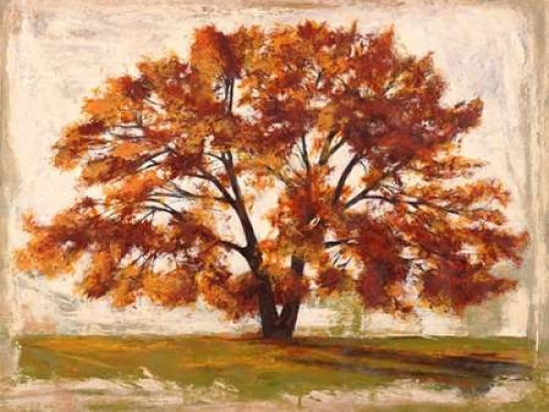 Posterazzi Mattino Canvas Art - Leonardo Bacci (22 x 28)
