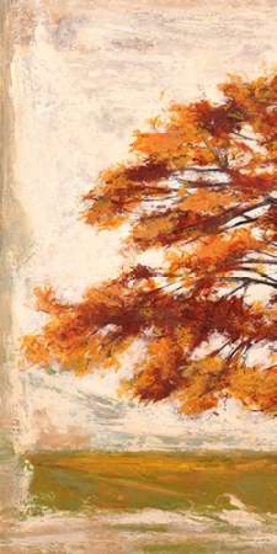 Posterazzi Mattino I Canvas Art - Leonardo Bacci (24 x 48)