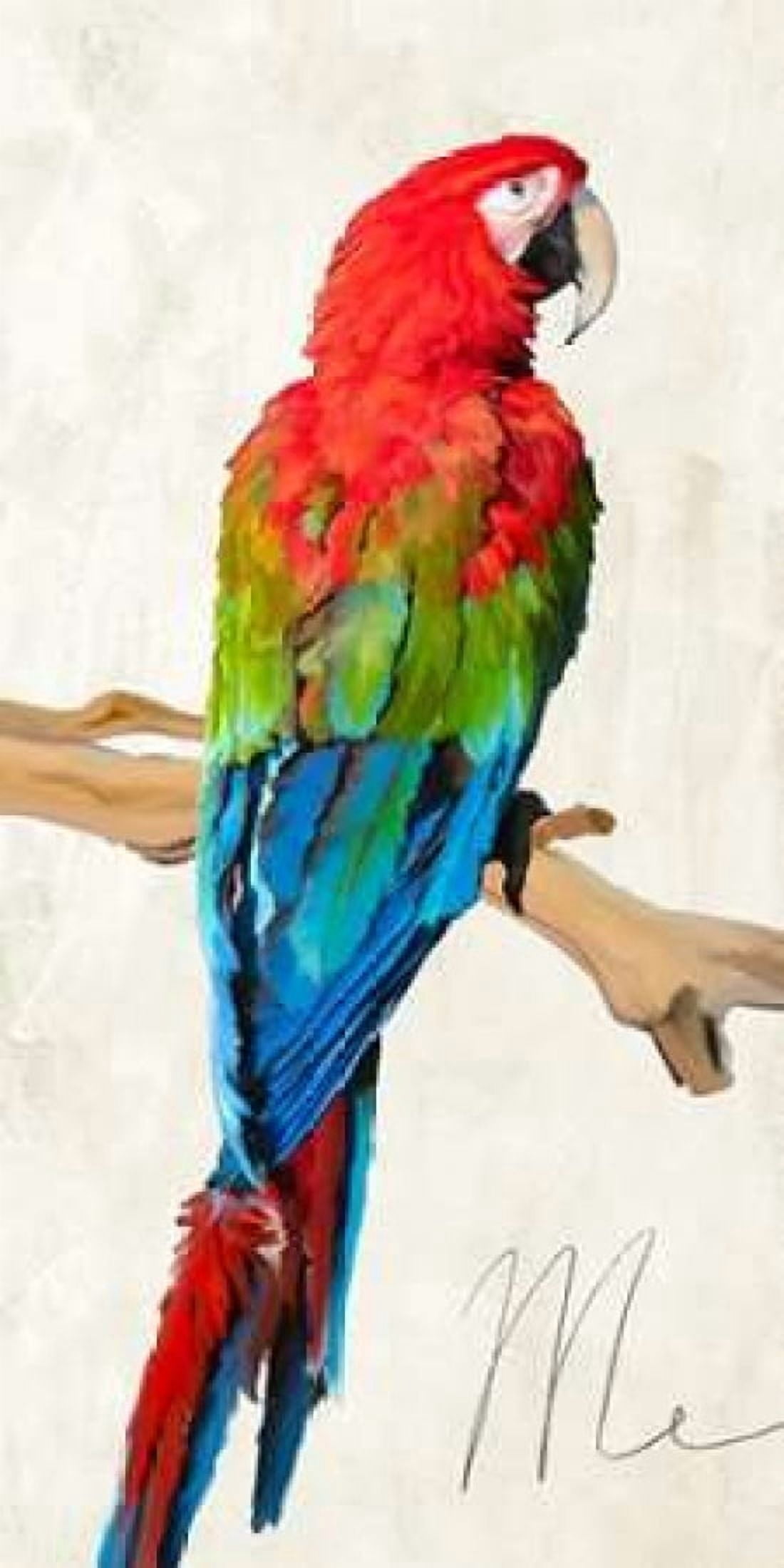 Posterazzi Me Canvas Art - Teo Rizzardi (24 x 48)