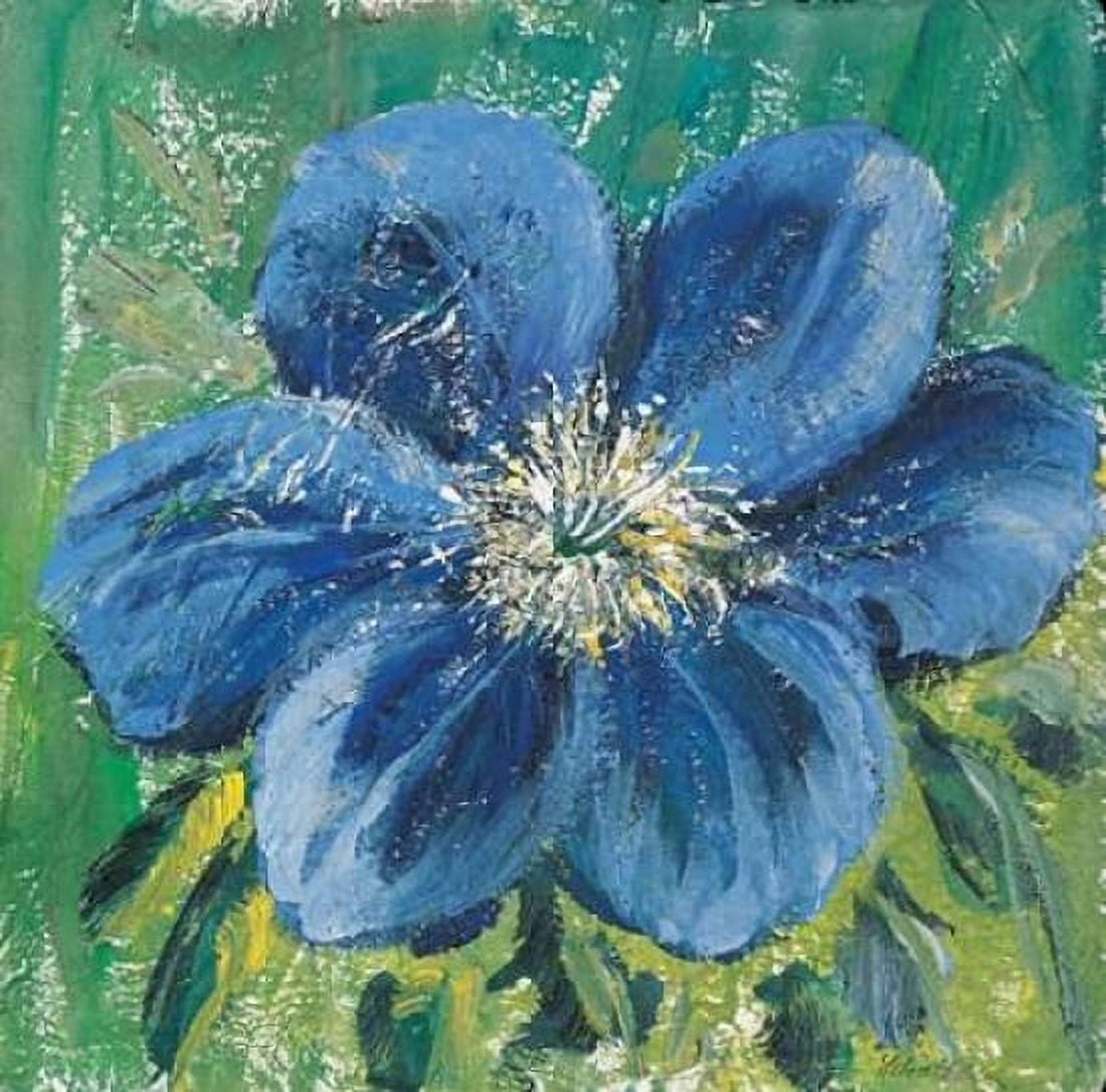 Posterazzi Meconopsis Canvas Art - Katharina Schottler (24 x 24)