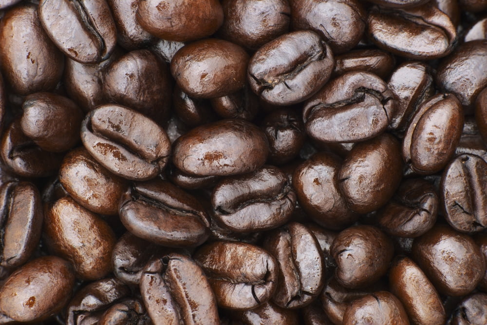 Posterazzi Medium dark roast Kona coffee beans close up Holualoa Big Island Hawaii United States of America Canvas Art - Philip Rosenberg Design Pics (38 x 24)
