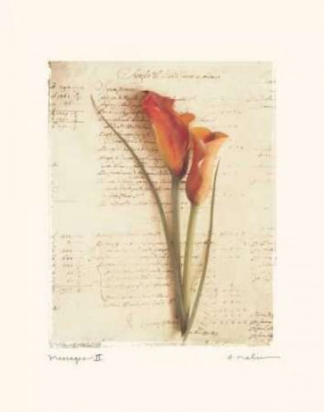 Posterazzi Messages II Canvas Art - Amy Melious (22 x 28)