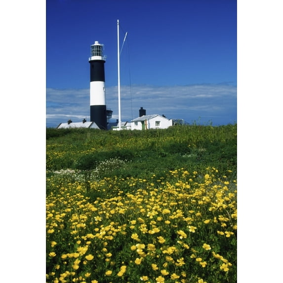 Posterazzi Mew Island County Down Ireland - Lighthouse Poster Print by Richard Cummins - 12 x 18