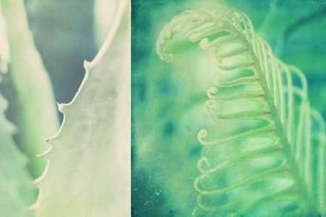 Posterazzi Mint Canvas Art - Myan Soffia (24 x 36)