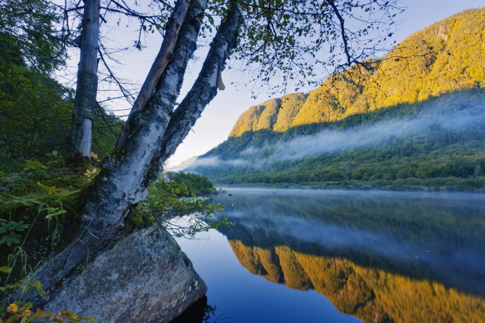 Posterazzi Mist On Jacques-Cartier River At Dawn In Jacques-Cartier National Park Quebec Canada Canvas Art - Yves Marcoux Design Pics (36 x 24)