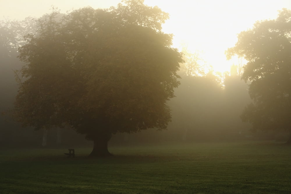 Posterazzi Misty Morning In Cahir In The Munster Region County Tipperary Ireland Canvas Art - Trish Punch  Design Pics (38 x 24)