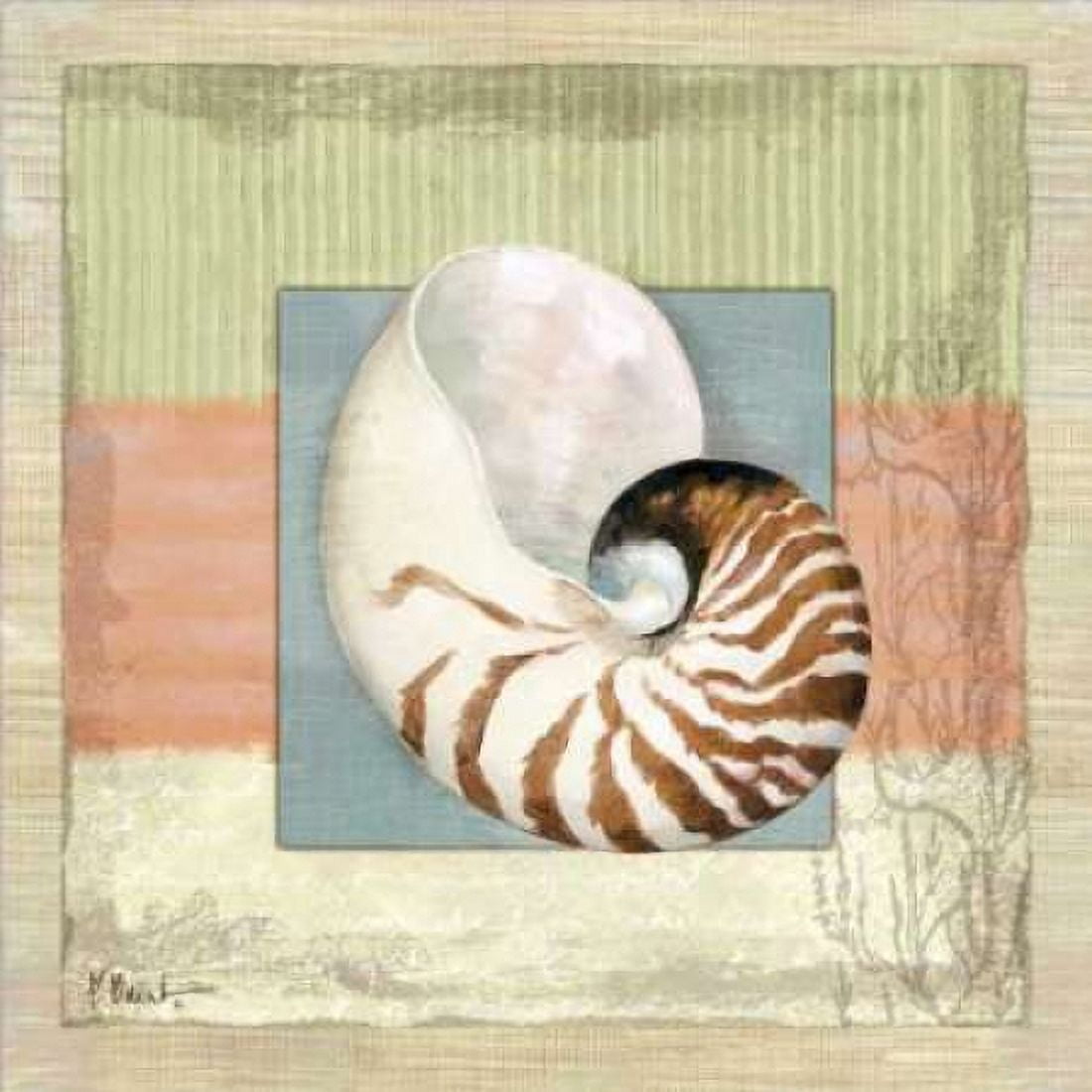Posterazzi Montego Nautilus Canvas Art - Paul Brent (24 x 24)