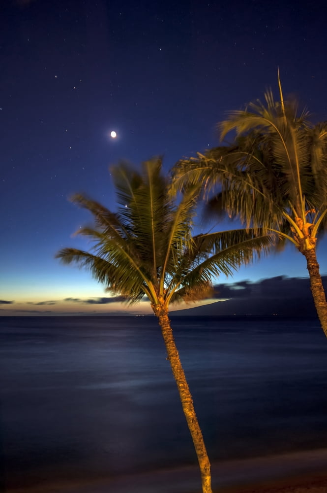 Posterazzi Moon and stars in the night sky with palm trees along the coast in the foreground Maui Hawaii United States of America Canvas Art - Scott Mead Design Pics (24 x 38)