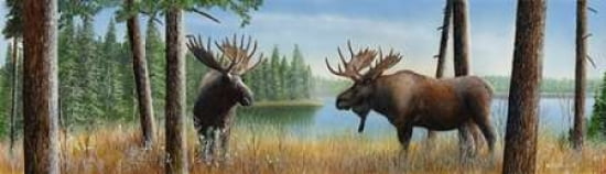 Posterazzi Moose Panoramic III Canvas Art - Kevin Daniel (12 x 36)
