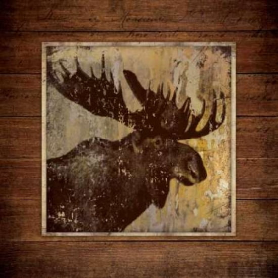 Posterazzi Moose Portrait Canvas Art - Stephanie Marrott (24 x 24)