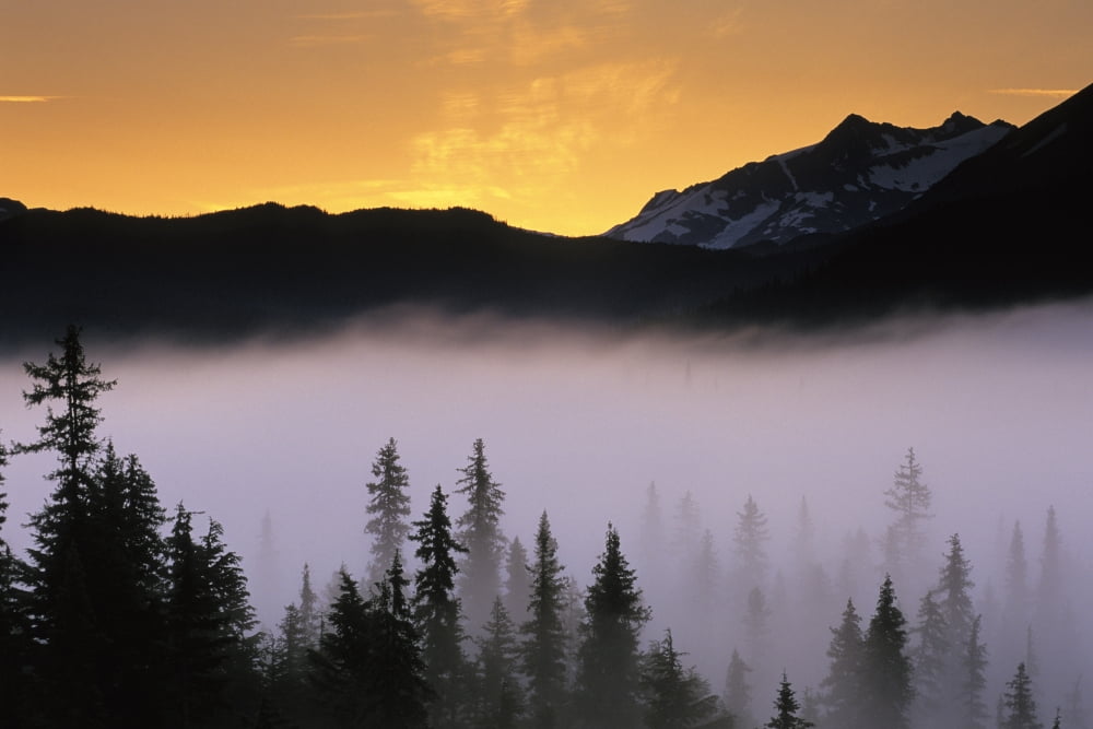 Posterazzi Morning Fog Sunrise Along Snow River Kp Alaska Summer Chugach Nf Canvas Art - Jim Barr Design Pics (34 x 22)