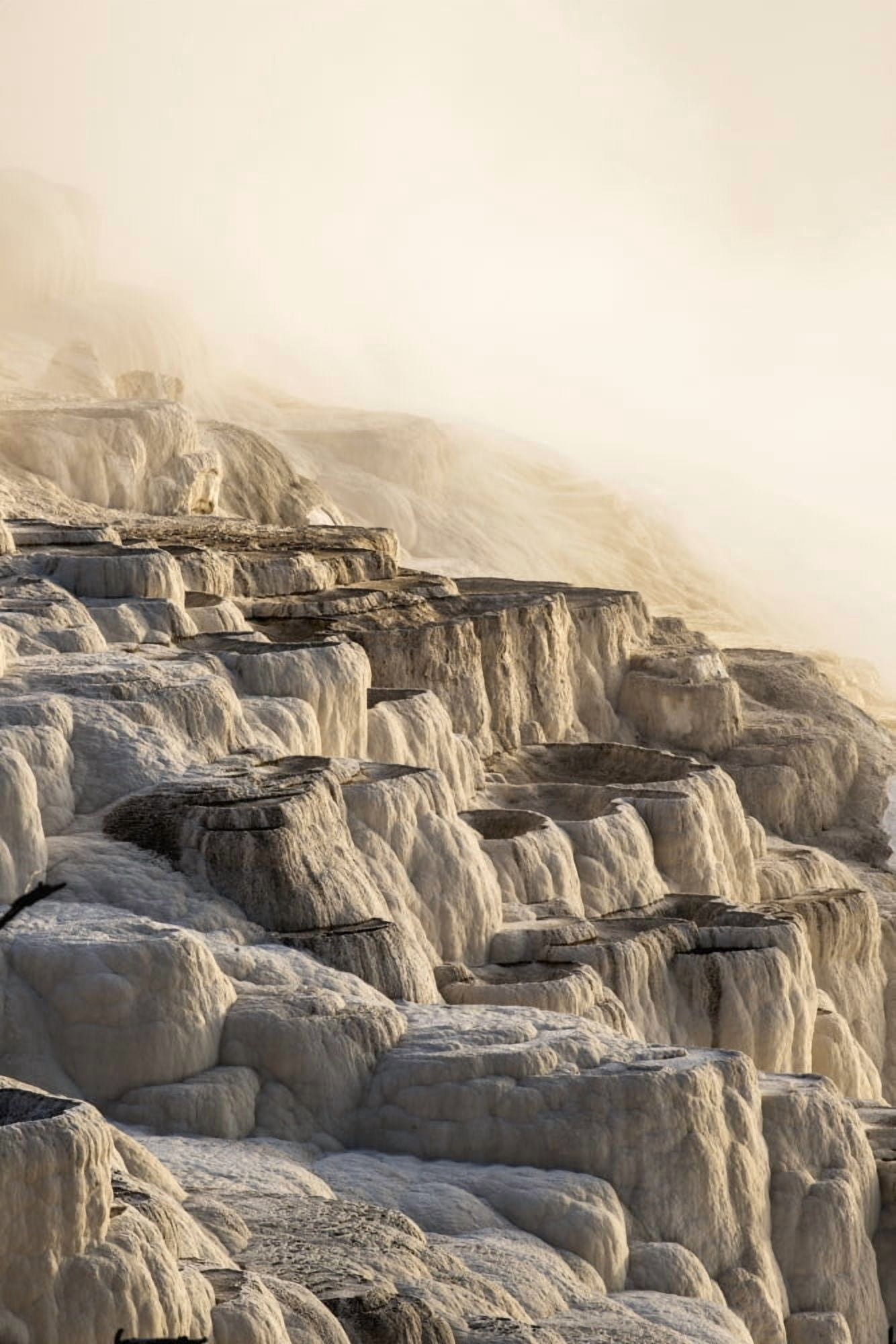 Posterazzi Morning light burns through heavy steam at Mammoth Springs Yellowstone National Park Wyoming United States of America Canvas Art - Carl Johnson Design Pics (24 x 38)