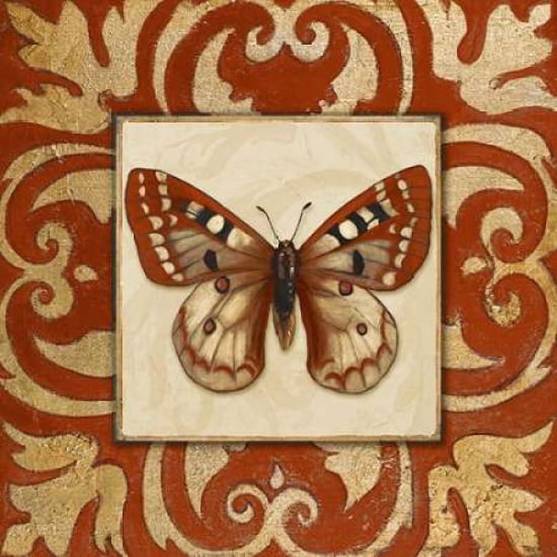 Posterazzi Moroccan Butterfly I Canvas Art - Patricia Pinto (24 x 24)