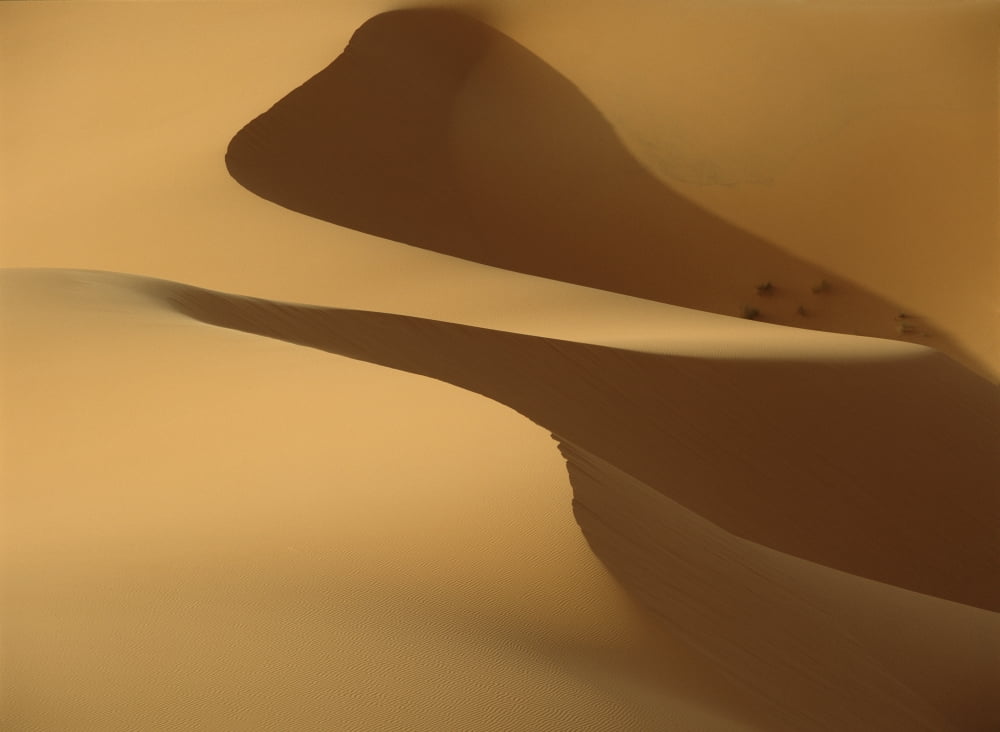 Posterazzi Morocco Detail of sand dunes at dawn in Erg Chebbi area Sahara Desert near Merzouga Canvas Art - Ian Cumming Design Pics (36 x 26)