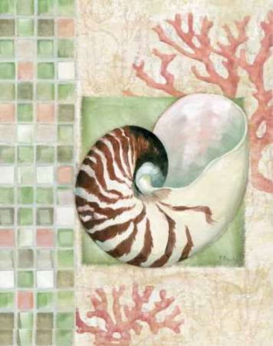 Posterazzi Mosaic Shell Collage I Canvas Art - Paul Brent (24 x 30)