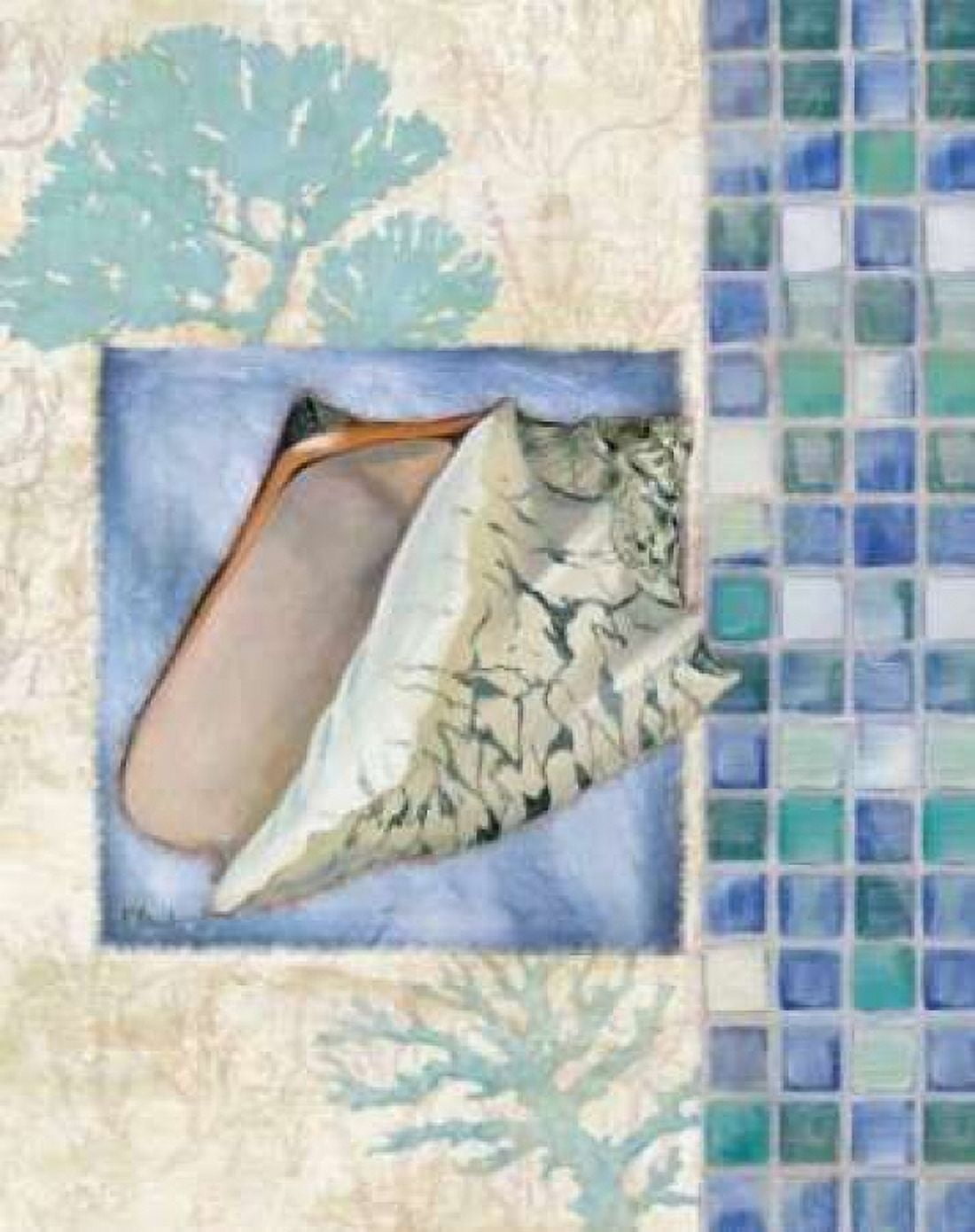 Posterazzi Mosaic Shell Collage III Canvas Art - Paul Brent (24 x 30)