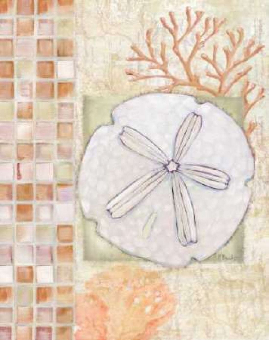 Posterazzi Mosaic Shell Collage IV Canvas Art - Paul Brent (24 x 30)
