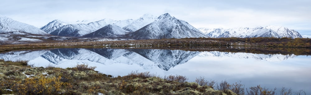 Posterazzi Mount Adney reflected in a pond along the Dempster Highway in the northern Yukon Yukon Canada Canvas Art - Robert Postma Design Pics (44 x 14)