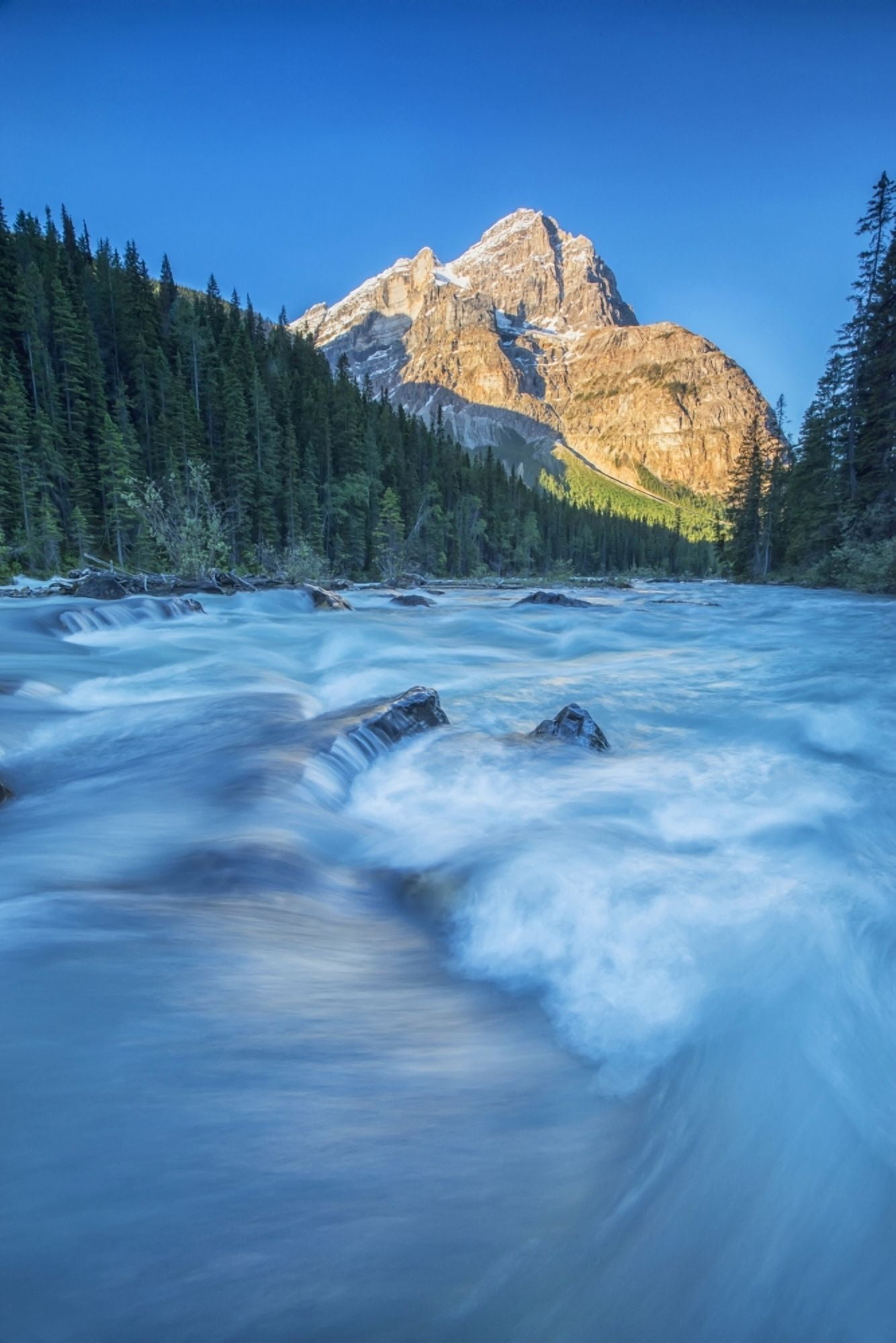 Posterazzi Mount Stephen lights up as the sun rises while the Yoho river flows by Yoho National Park British Columbia Canada Canvas Art - Robert Postma  Design Pics (24 x 38)