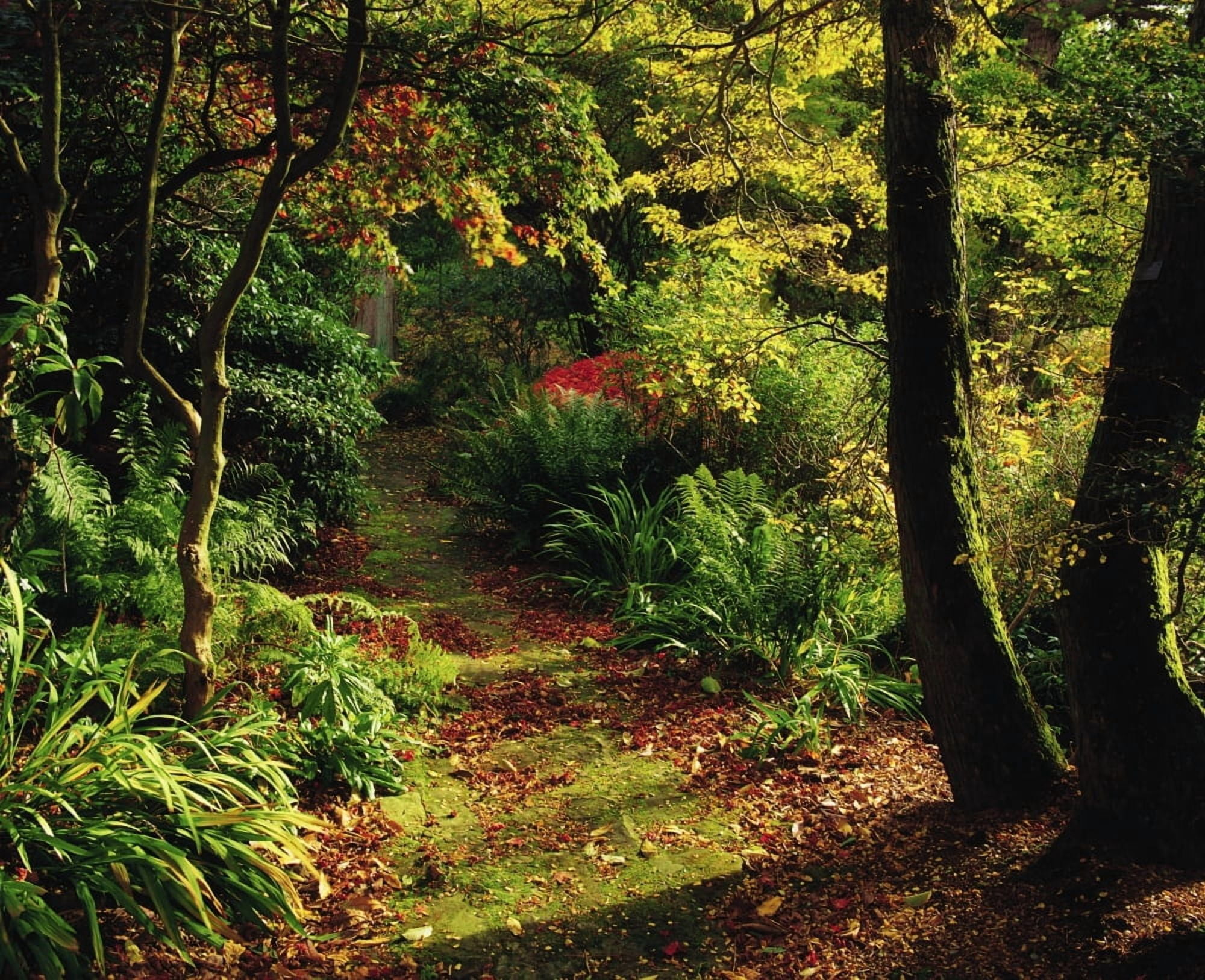 Posterazzi Mount Stewart Co Down Ireland Canvas Art - The Irish Image Collection Design Pics (34 x 26)